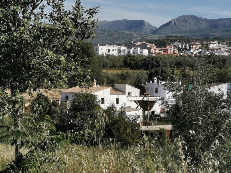 Alcaucín, Costa del Sol East, Málaga, Spain - Villa - Finca