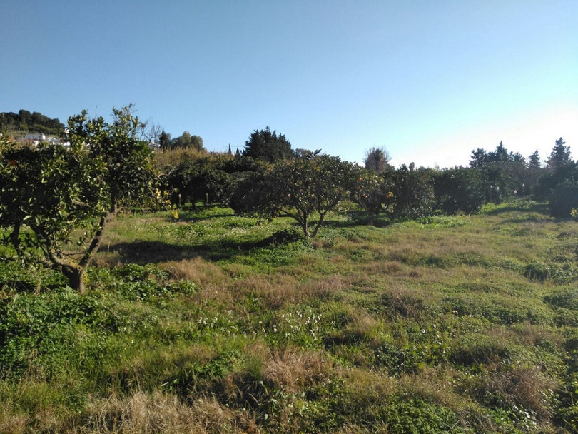 San Enrique, Costa del Sol, Cádiz, Spain - Plot - Land