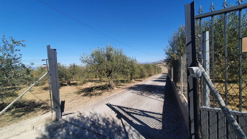 Alhaurín el Grande, Costa del Sol, Málaga, Spain - Plot - Land