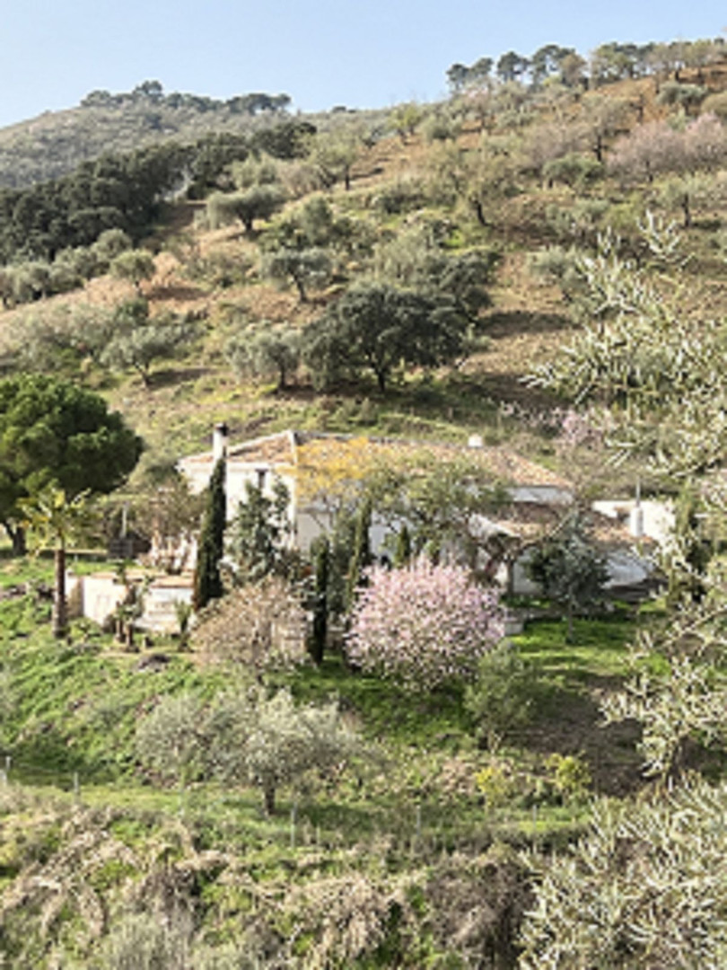 Colmenar, Costa del Sol East, Málaga, Spain - Villa - Finca