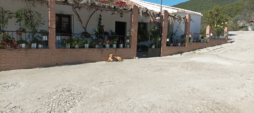 Ronda, Costa del Sol, Málaga, Spain - Villa - Detached